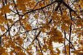 2015_10_27 (0027)